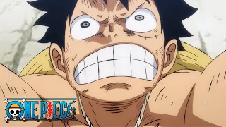 Luffy's New Muscle! | One Piece