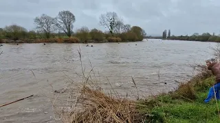 Severn Bore At The Severn Bore Pub , Minsterworth March 12, 2024(1)