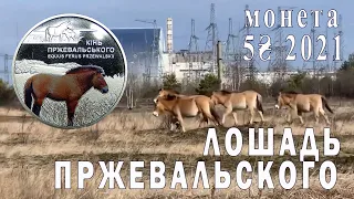 Новая монета «лошадь Пржевальского». 5 гривен 2021р.