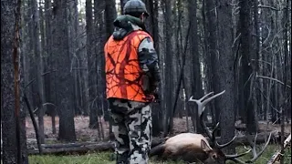 Big Montana Public Land 6x7 Bull Elk! (Rifle Opener 2018)