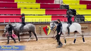 Behind the Scenes Knight Training