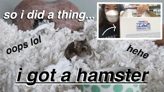 GETTING A HAMSTER