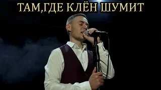 Владислав Лобач - Клён (cover Синяя Птица)