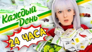 ПИТАЮСЬ ЦЕЛЫЙ ДЕНЬ ДЕШЕВОЙ ЕДОЙ НА КАЖДЫЙ ДЕНЬ из Ашан! ЧЕЛЛЕНДЖ!