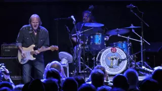 Walter Trout (US) - Help Me - Frederikshavn Blues Festival 2015