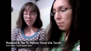 True Colors - Cyndi Lauper cover by Rosebud & TC Helicon Voice Live Touch