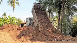 Excellent Starting The New Project By Dump Truck Moving Dirt & Small Bulldozer Pushing Soil