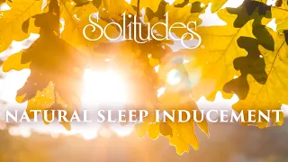 Dan Gibson’s Solitudes - Celestial Glow | Natural Sleep Inducement