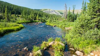 Indian Peaks Wilderness (Colorado) Backpacking - August 2018