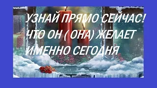 УЗНАЙ ПРЯМО СЕЙЧАС! ЧТО ЖЕ ОН ( ОНА) ЖЕЛАЕТ СЕГОДНЯ.Правдивое гадание на Таро он-лайн