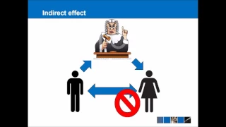 EU Law - Direct Effect