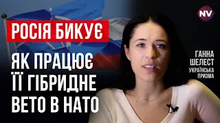 Росія змусила НАТО не давати Україні ПДЧ в Бухаресті – Ганна Шелест