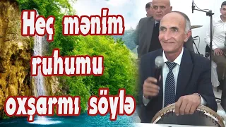 Hafiz əmidən ruhu dincəldən ifa-Tamerlan bəyin toy məclisi