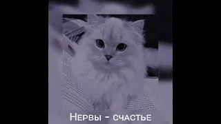 Нервы - Счастье 〔Speed Up〕