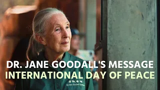 Dr. Jane Goodall's Message for International Day of Peace, 2023