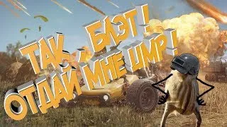 ТАК БЛЭТ! 🔴 ОС И ПАЙНАНОВСКИЕ БЫКИ 🔴 OC PAI NAN BULLS  pubg пабг пубг