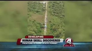 Human Skull found