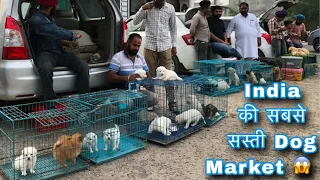 India की सबसे सस्ती Dog Market 😱 ₹4500 only 😵‍💫 part,2 #dog #puppy