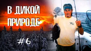 ПОСЛЕДНЯЯ ОХОТА || В дикой природе #6