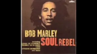 Bob Marley - Soul Rebel  432Hz