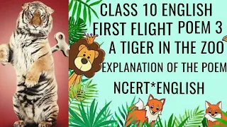 A TIGER IN THE ZOO | EXPLANATION OF THE POEM | CLASS 10 ENGLISH FIRST FLIGHT POEM 3