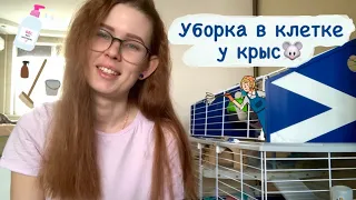 Уборка в клетке у крысожопок🐀