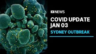 NSW records eight new COVID-19 cases, outbreak at BWS store now 'critical'  | ABC News