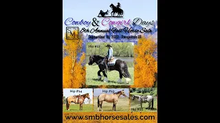 SMB 2023 Fall Horse Sale Preview & Sale