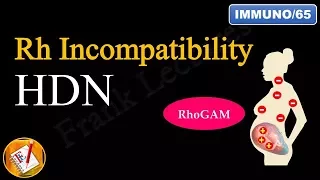 Rh Incompatibility: Hemolytic Disease of the Newborn (Erythroblastosis fetalis) (FL-Immuno/65)