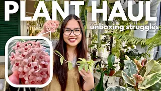 Plant Haul: Hoyas, Variegated Alocasias, & Packaging Wars! 🌿✨