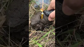 Exploding cow poop with rockets