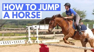HOW TO JUMP A HORSE (easy beginner guide)