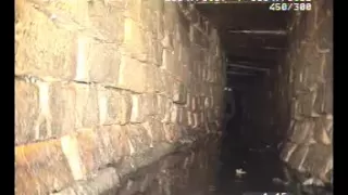 Sewer creature spotted!