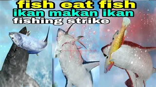 Fishing strike ikan makan ikan fish eat fish