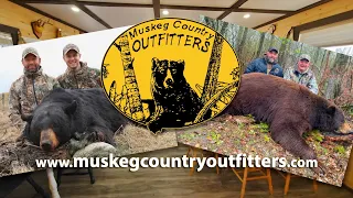 Ultimate Bear Hunting in Manitoba | Muskeg Country Outfitters