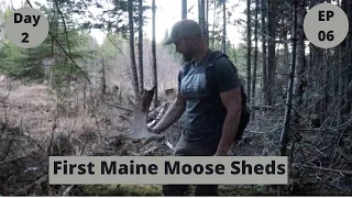 Moose Shed Hunting 2021 -- On the Board EP 06 -- Beyond the Boundaries
