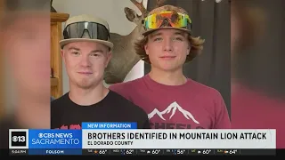 Brothers identified in deadly mountain lion attack in El Dorado County