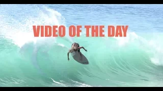 AK - Clip of the Day - Skimboarding Backside Wrap - Austin Keen