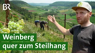 Weinbau in Franken: Mit Querterrassen steile Weinberge bewirtschaften | Wein | Unser Land | BR