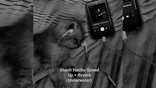 Masih Hatiku Speed Up +  Reverb (Underwater)