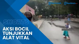 Viral Video Aksi Miris Bocah Tunjukkan Kemaluannya pada Wanita di GOR Purbalingga