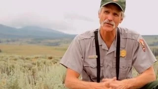 History of Yellowstone Wolves with Doug Smith