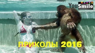 Приколы 2016  Лучшее за октябрь  #313  Смешное видео, Нарики русские приколы, Улетное, Ржач