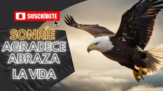 El Águila Que Lamento Su Suerte Ante DIOS | Reflexión