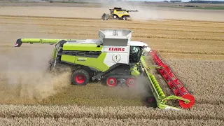 42 METER HARVEST in the same field | LEXION 8900 & CR 10.90 | FRANCE 2021