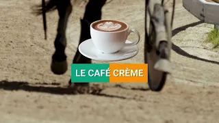 Le Café des Turfistes - Vendredi 3 mai