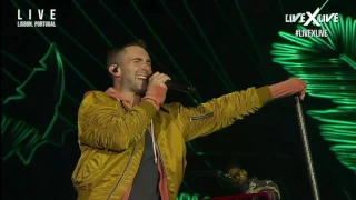 maroon 5   animal live