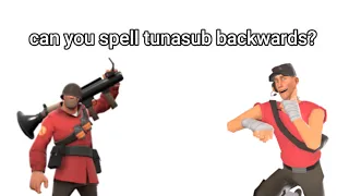 Scout Asks Soldier To Spell TunaSub Backwards