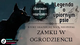 Legenda o upiornym psie - poznaj mroczną stronę zamku w Ogrodzieńcu #podcast #duchy #legenda