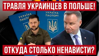 Травля украинцев в Польше! Откуда столько ненависти?